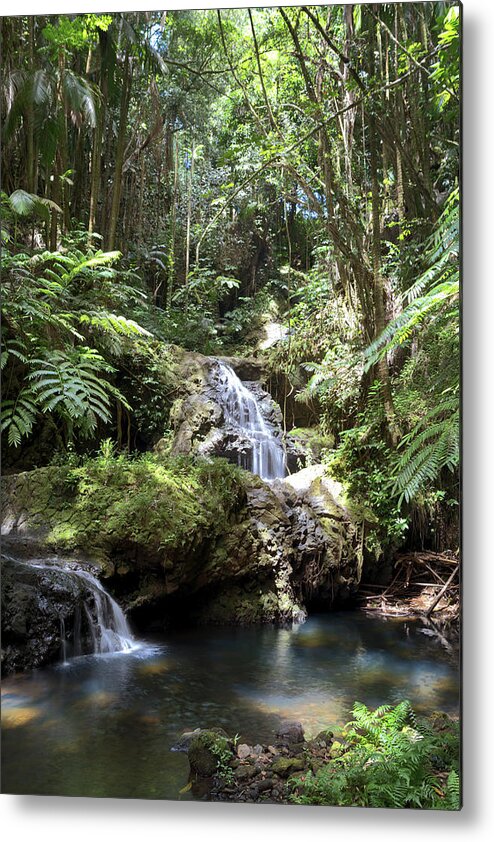 Waterfalls Metal Print featuring the photograph Onomea Waterfalls #2 by Susan Rissi Tregoning