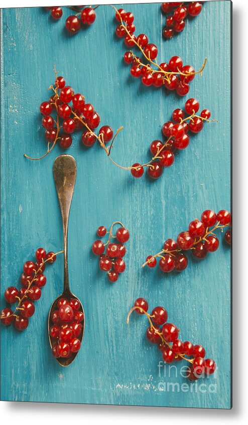 Red Metal Print featuring the photograph Red Currant #1 by Jelena Jovanovic