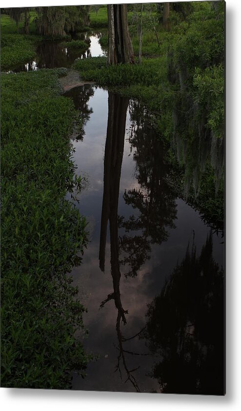 Water Metal Print featuring the photograph Reflection #1 by Walt Reece