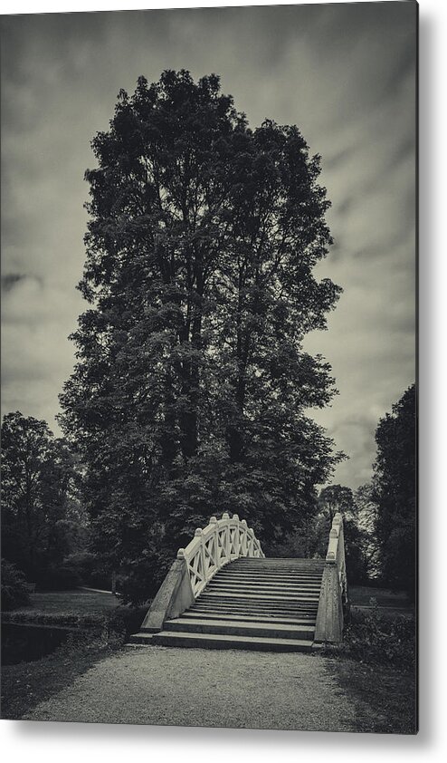 Chestnut Tree Metal Print featuring the photograph Schwetzingen Castle Park #1 by Duschan Tomic