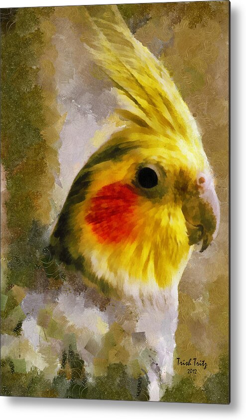 Bird Metal Print featuring the photograph Sunny Days #1 by Trish Tritz