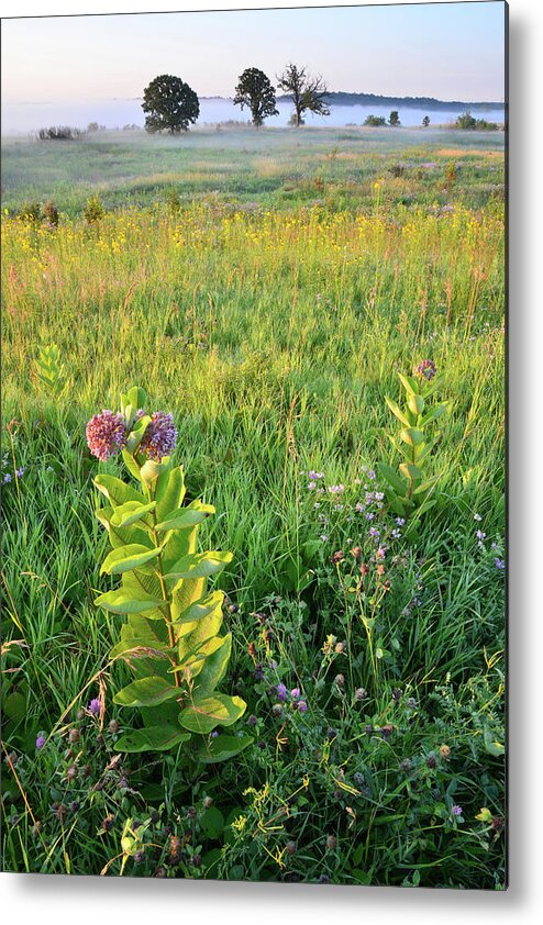 Mchenry County Conservation District Metal Print featuring the photograph Sunrise on Glacial Park #1 by Ray Mathis