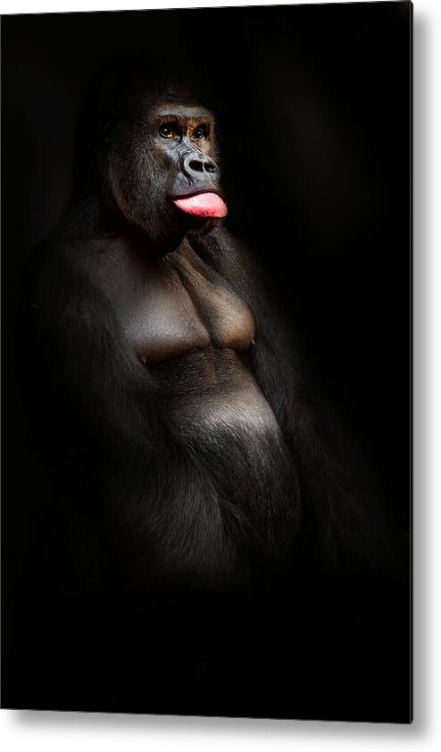 Gorilla Metal Print featuring the photograph The Gorilla #1 by Christine Sponchia