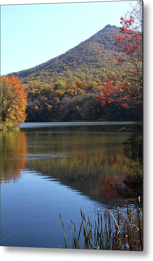 Lake Metal Print featuring the photograph View of Abbott Lake and Sharp Top in autumn #1 by Emanuel Tanjala