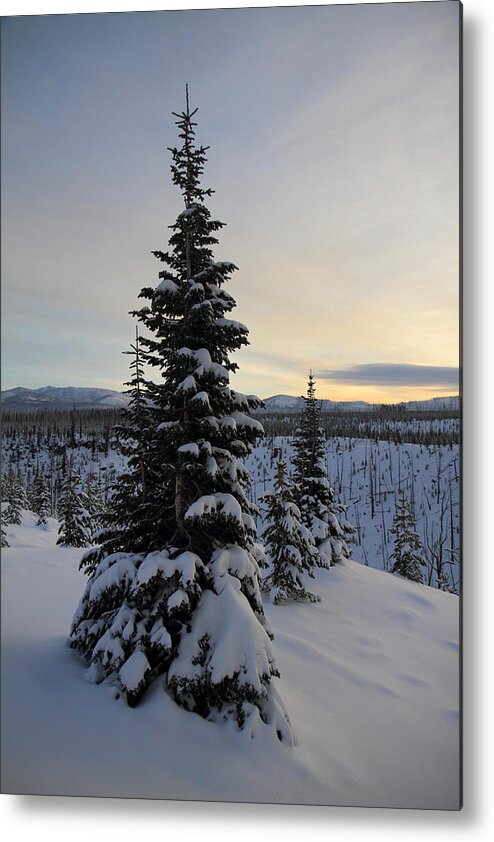 Hot Metal Print featuring the photograph Yellowstone's high elevation snowy landscape #1 by Pierre Leclerc Photography