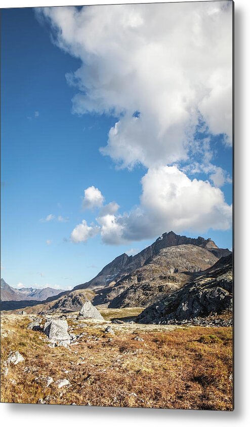 British Columbia Metal Print featuring the photograph High Country in Fall #2 by Michele Cornelius