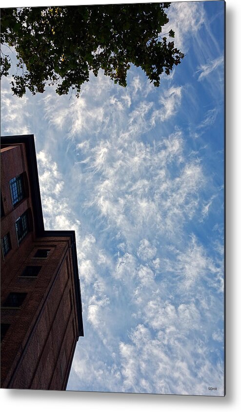 Sky Metal Print featuring the photograph Looking Up #3 #2 by Dana Sohr