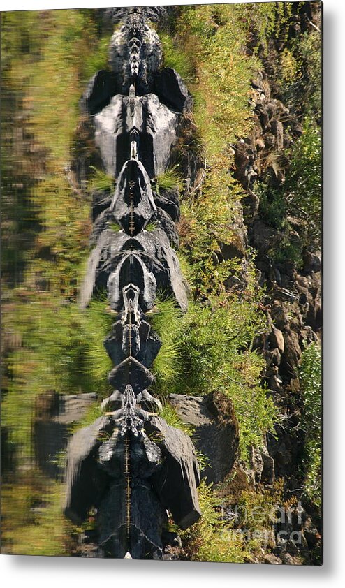 River Metal Print featuring the photograph River Guardians #2 by Marie Neder
