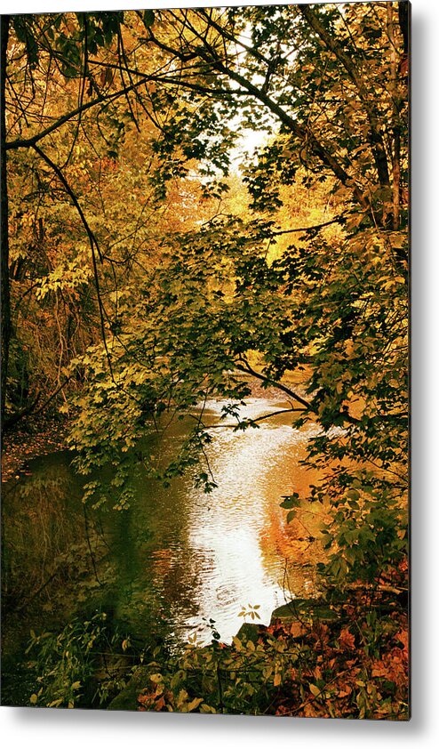 Autumn Metal Print featuring the photograph River Reflections #2 by Jessica Jenney