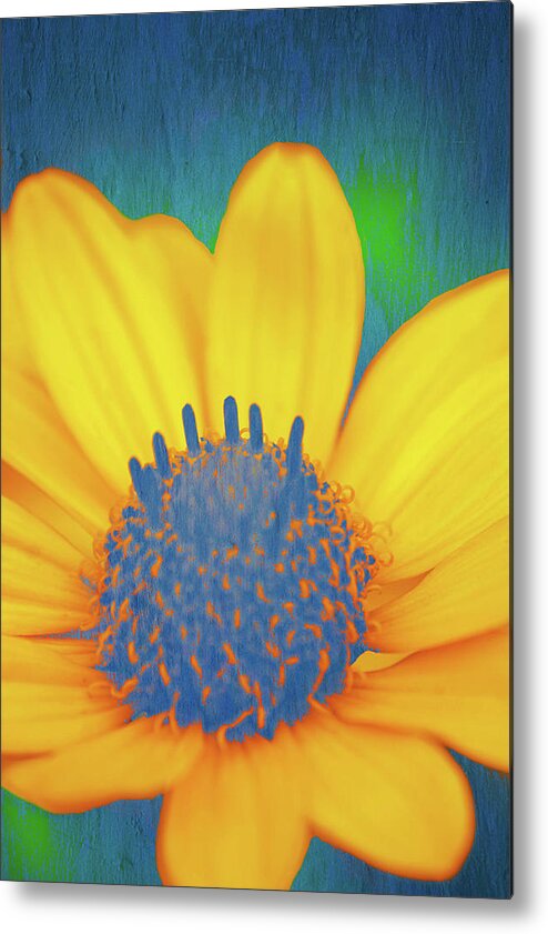 Texture Metal Print featuring the photograph Texture Flowers #20 by Prince Andre Faubert