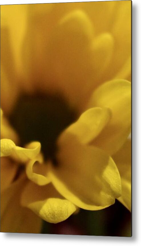 Yellow Metal Print featuring the photograph Flowers #33 by Deena Withycombe