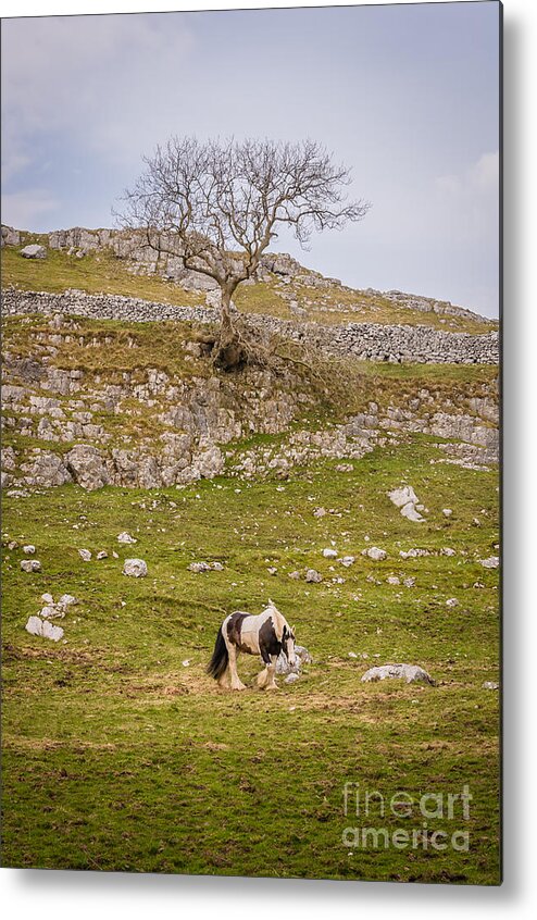 D90 Metal Print featuring the photograph Ingleton #4 by Mariusz Talarek