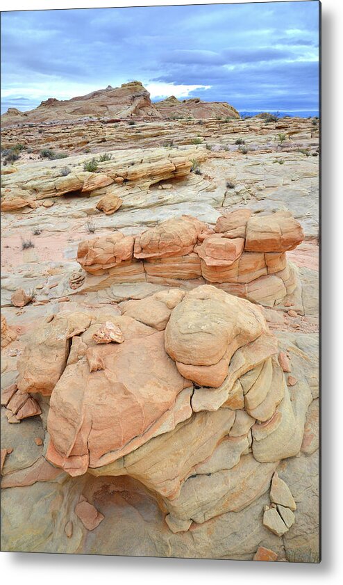Valley Of Fire State Park Metal Print featuring the photograph Multicolored Cropping in Valley of Fire #4 by Ray Mathis