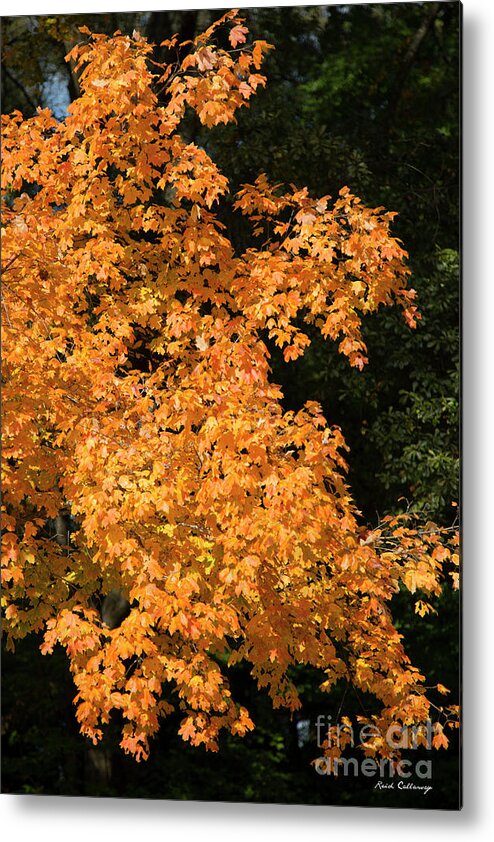 Reid Callaway Autumn Leave Images Metal Print featuring the photograph Fall Leaves 5 Autumn Leaf Colors Art by Reid Callaway