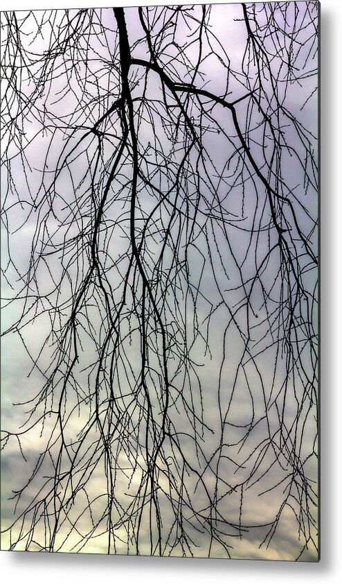 Winter Trees And Clouds Metal Print featuring the photograph Winter Trees and Clouds #54 by Robert Ullmann