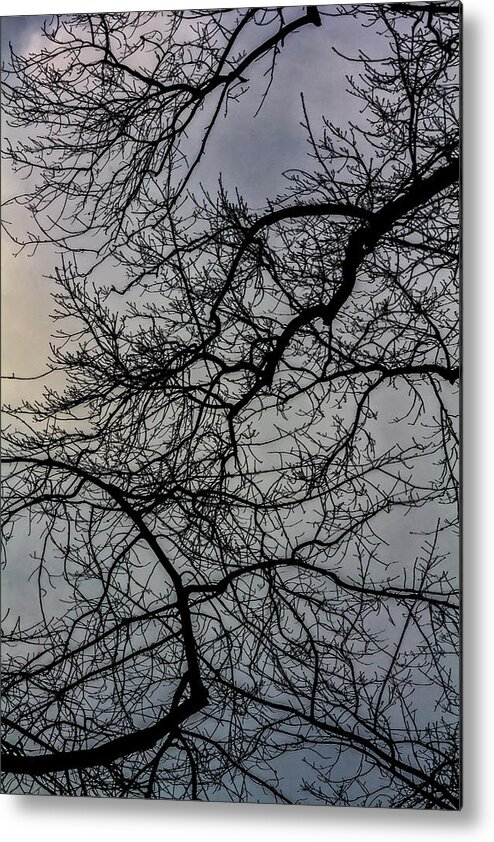 Clouds Trees And Sky Metal Print featuring the photograph Clouds Trees and Sky #6 by Robert Ullmann
