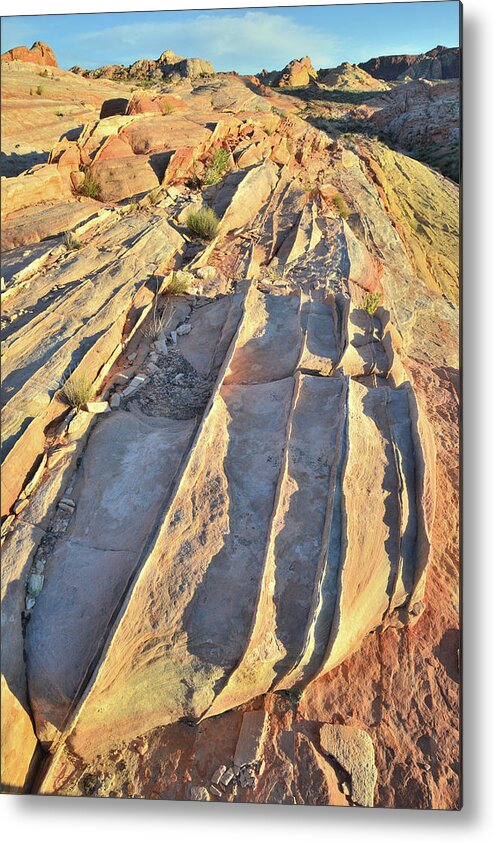 Valley Of Fire State Park Metal Print featuring the photograph Last Light in Valley of Fire #3 by Ray Mathis