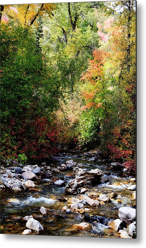Autumn Metal Print featuring the photograph Rocky Mountain Fall by Mark Smith