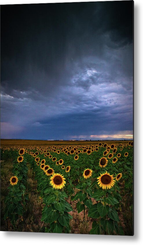 Colorado Metal Print featuring the photograph A Chance Of Rain by John De Bord