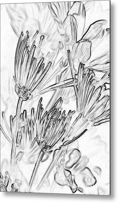 Flowers Metal Print featuring the photograph A Flower Sketch by Julie Lueders 