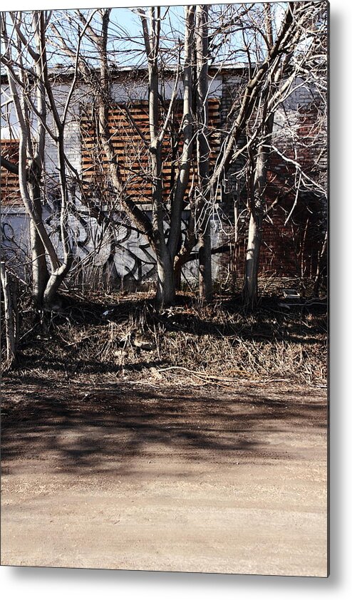 Urban Metal Print featuring the photograph A Forest Of Sorts by Kreddible Trout