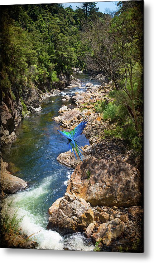 Karangahake Gorge Metal Print featuring the photograph A Parrot in a New Zealand Gorge by Kathryn McBride
