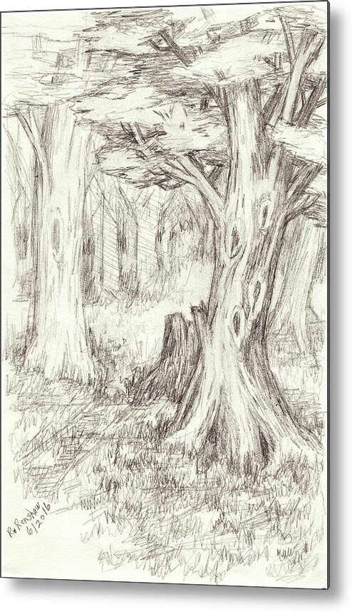 Trees Metal Print featuring the drawing A Place to Rest in the Trees by Ruth Renshaw
