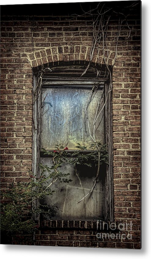 Window Metal Print featuring the photograph A Sign of Life by Ken Johnson