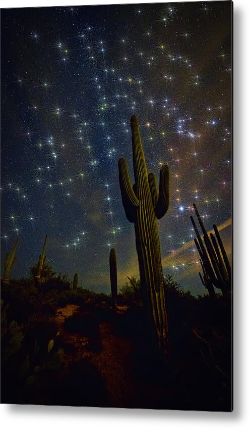 Night Skies Metal Print featuring the photograph A Starry Desert Evening by Saija Lehtonen