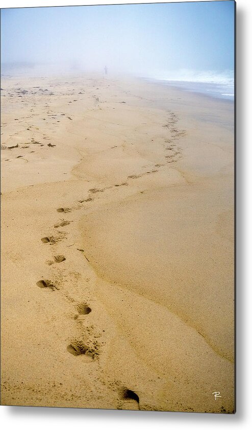 Nantucket Metal Print featuring the photograph A Walk on the Beach by Tom Romeo