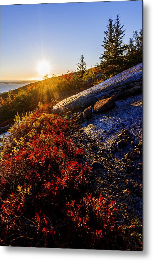 Above Bar Harbor Metal Print featuring the photograph Above Bar Harbor by Chad Dutson