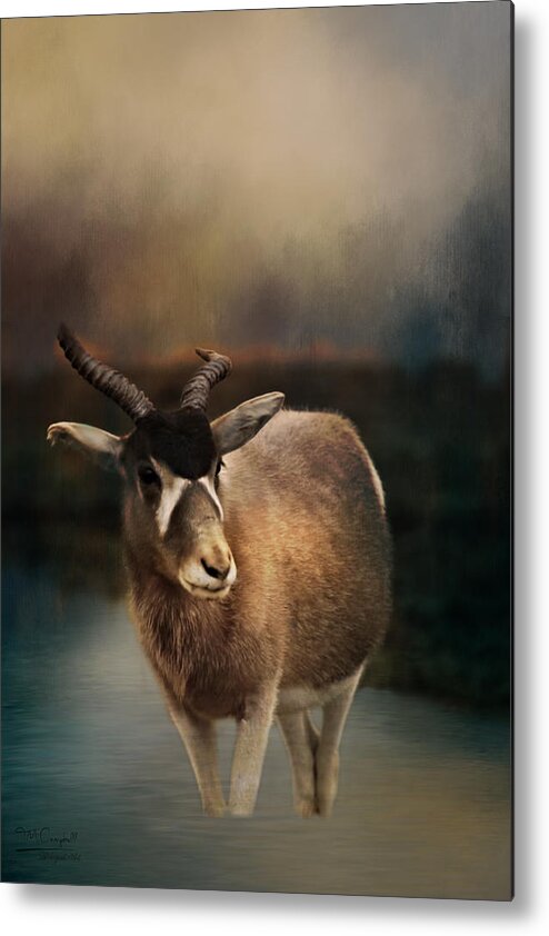 Addax Metal Print featuring the photograph Addax by Theresa Campbell