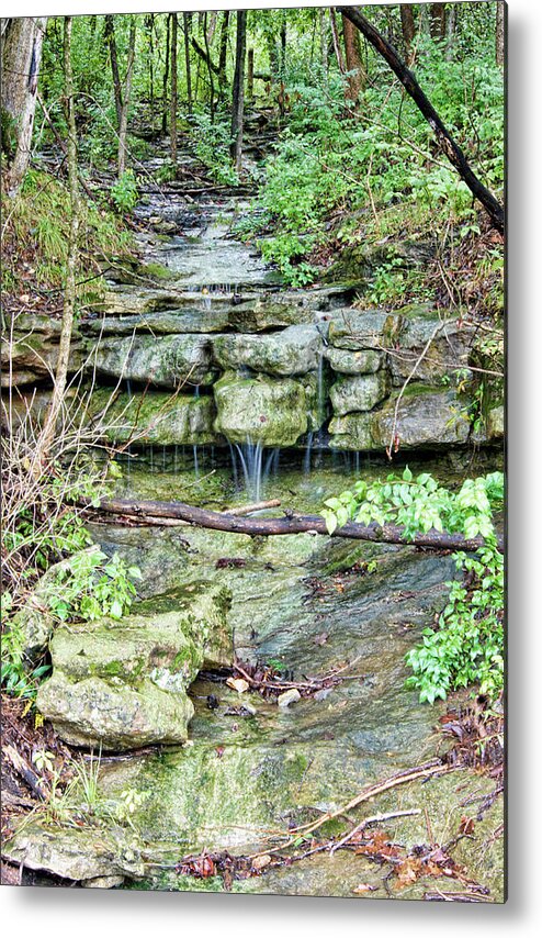 Rain Metal Print featuring the photograph After the Rain by Cricket Hackmann