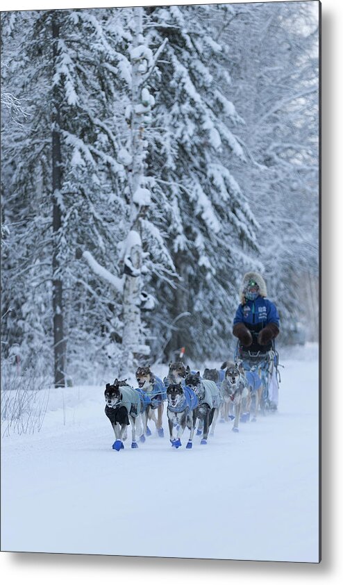 Alaska Metal Print featuring the photograph Alaska Dog Sled Team by Scott Slone