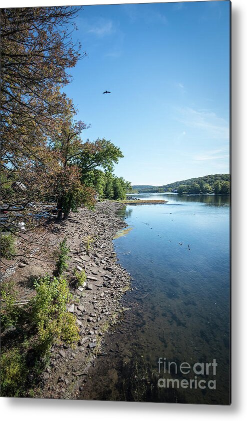 Lambertville Metal Print featuring the photograph Along The Bank Of The Delaware River by Judy Wolinsky