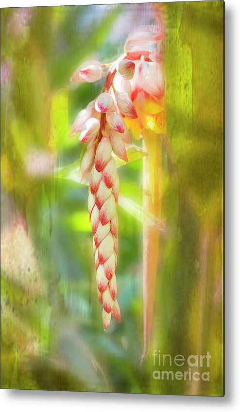 Tropical Metal Print featuring the photograph Alpinial Galangal by Mary Jane Armstrong