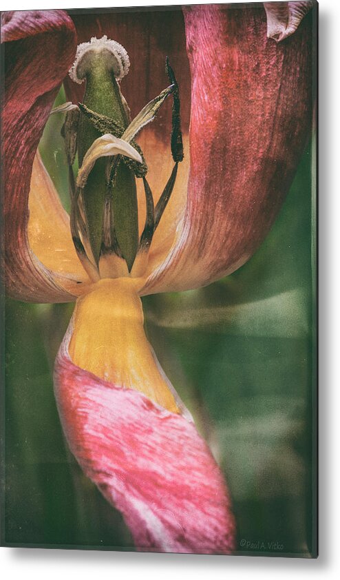 Flower Metal Print featuring the digital art And You Are Who by Paul Vitko
