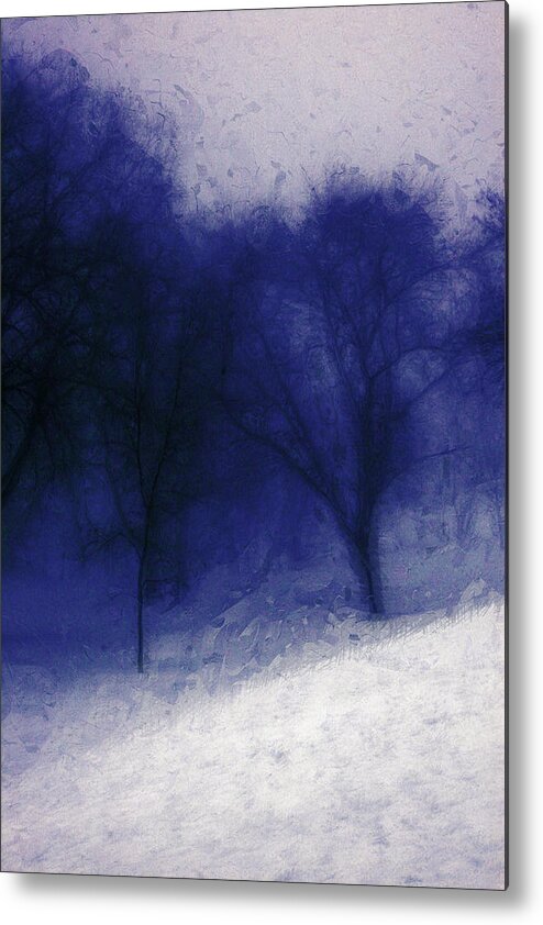 Landscape Metal Print featuring the photograph Another Blue Day by Julie Lueders 