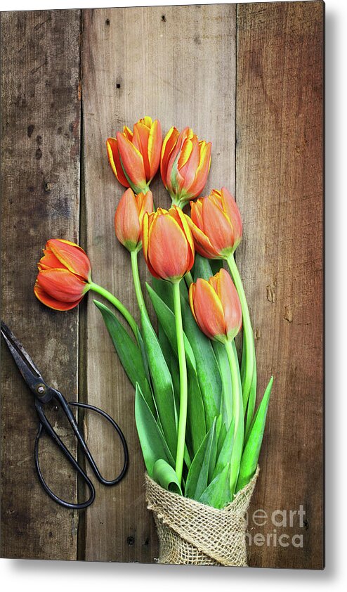 Tulips Metal Print featuring the photograph Antique Scissors and Bouguet of Tulips by Stephanie Frey