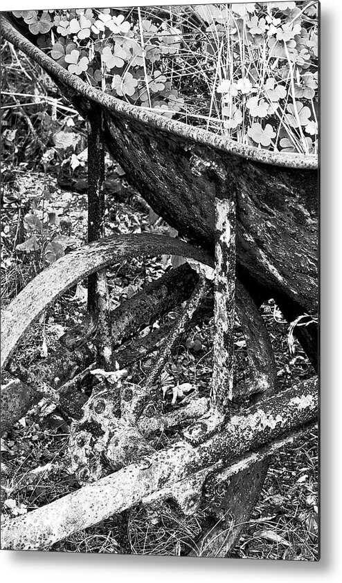Black And White Metal Print featuring the photograph Antique Wheelbarrow Planter by Barry Wills