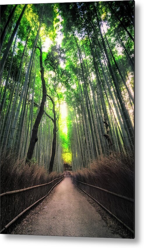 Arashiyama Metal Print featuring the photograph Arashiyama in Kyoto, Japan by Craig Szymanski