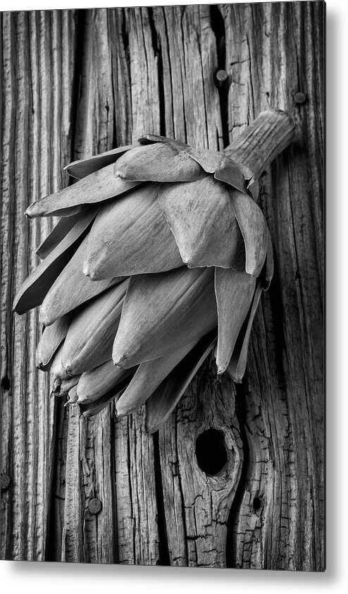 Artichoke Metal Print featuring the photograph Artichoke In Black And White by Garry Gay