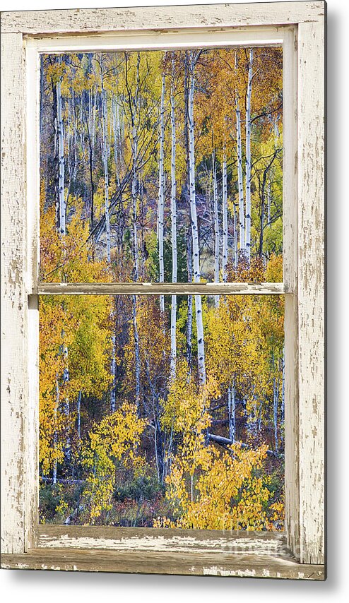 Window Metal Print featuring the photograph Aspen Tree Magic Cottonwood Pass White farm House Window Art by James BO Insogna