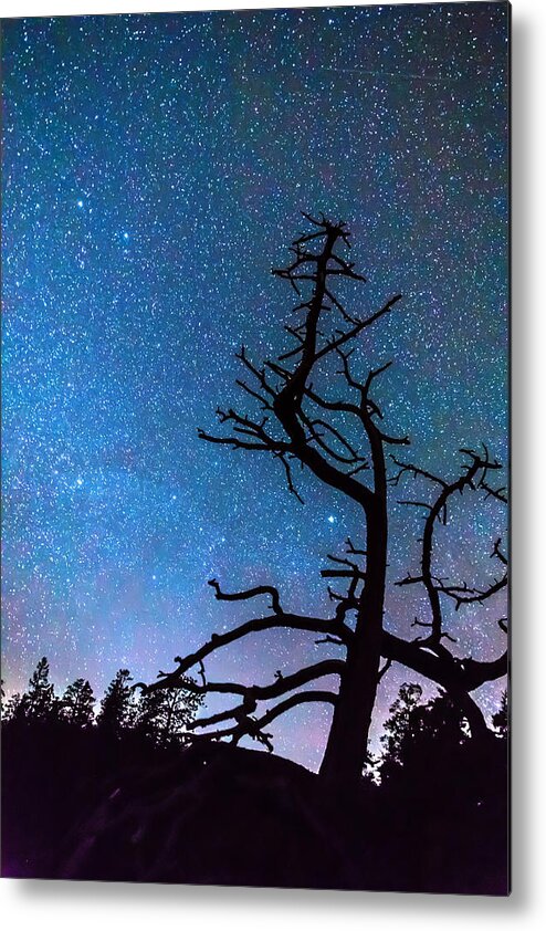 Sky Metal Print featuring the photograph Astrophotography Night by James BO Insogna