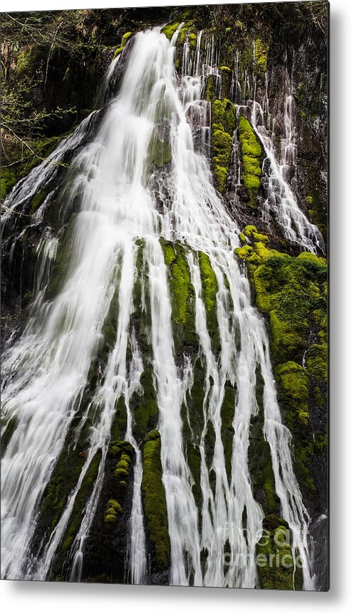 Panther Creek Falls Metal Print featuring the photograph At the Base by Patricia Babbitt
