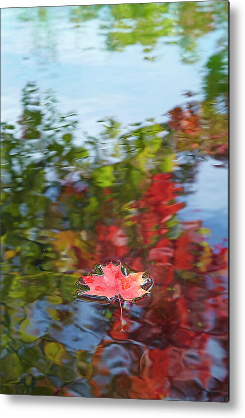 Autumn Metal Print featuring the photograph Autumn leaves by Garden Gate