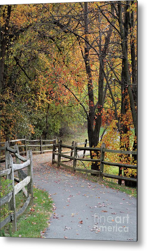 Autumn Metal Print featuring the photograph Autumn Path in Park in Maryland by William Kuta
