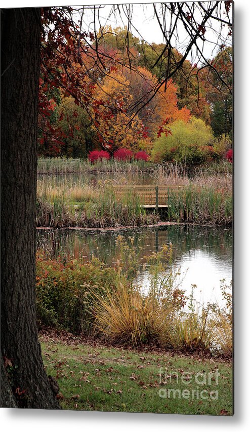 Autumn Metal Print featuring the photograph Autumn Pond in Maryland by William Kuta