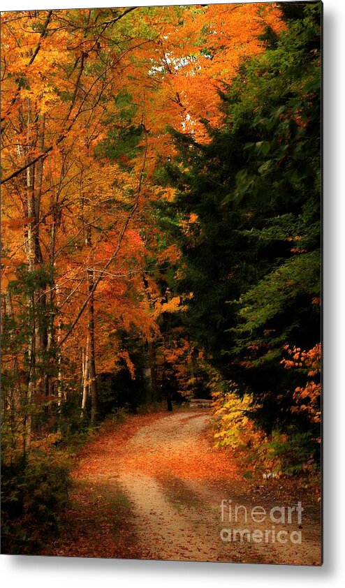 Landscape Metal Print featuring the photograph Autumn Trail by Marcia Lee Jones