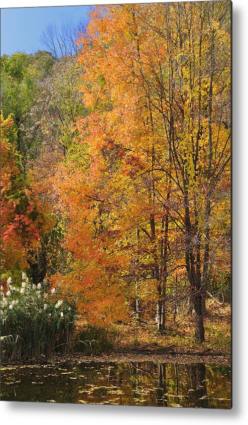 Fall Metal Print featuring the photograph Autumn Tranquility 4 by Frank Mari